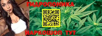 ALPHA PVP Белореченск